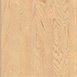 白二叉树广泛用于木工项目,浅调颜色回想Maple接受各种染色画作以适应多家风格